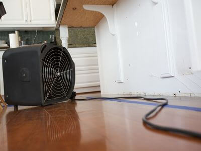 St. Louis Park MN Mold Removal Pros - mold removal experts Professional mold removal services in St. Louis Park